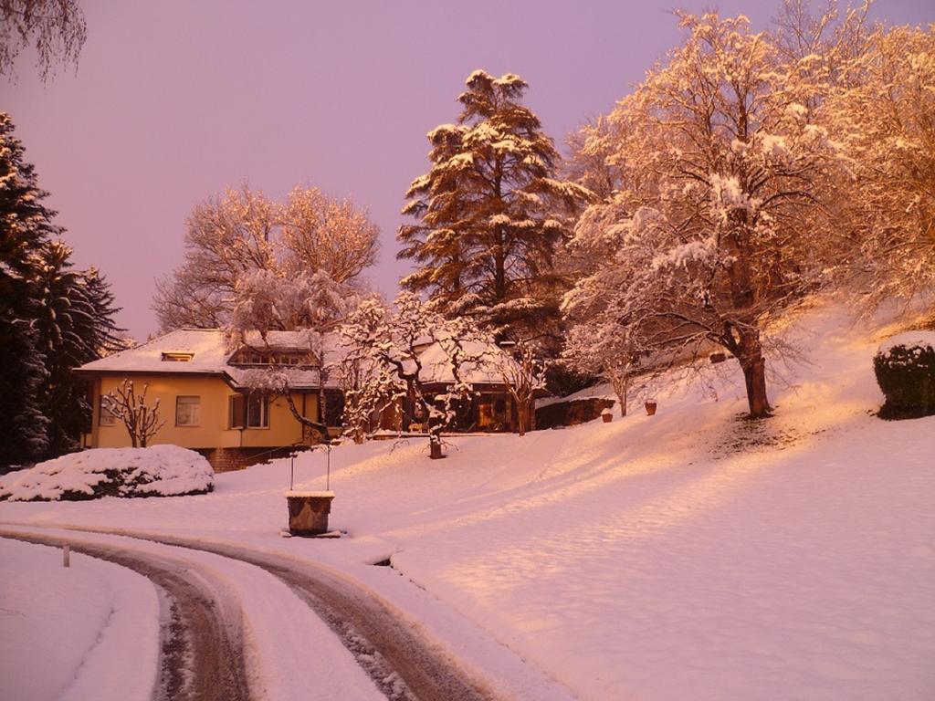 Il Colombe B&B Barzanò Εξωτερικό φωτογραφία